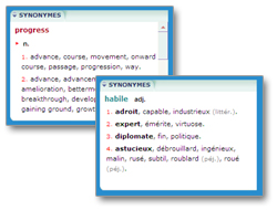 Les dictionnaires de synonymes