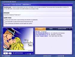 Le questionnaire