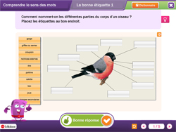 Comprendre le sens des mots - placer les �tiquettes