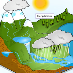 Le cycle de l'eau