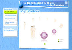 l'acceuil et le cycle de la vie - animation