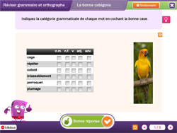 R�viser grammaire et orthographe