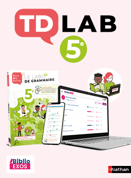 TDLab, la plateforme d'exercices du Labo de grammaire 5e Terre des Lettres - 2020